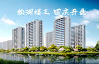 黎貝村委統建樓4棟-鉑悅大仟里可分期十年